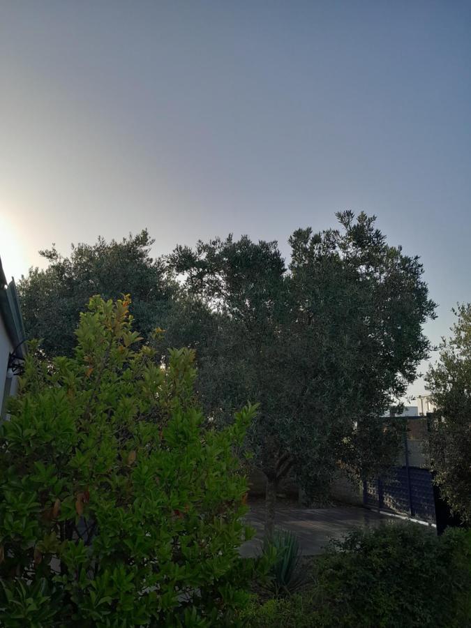 Garden Beach House Hamallaj Exterior foto